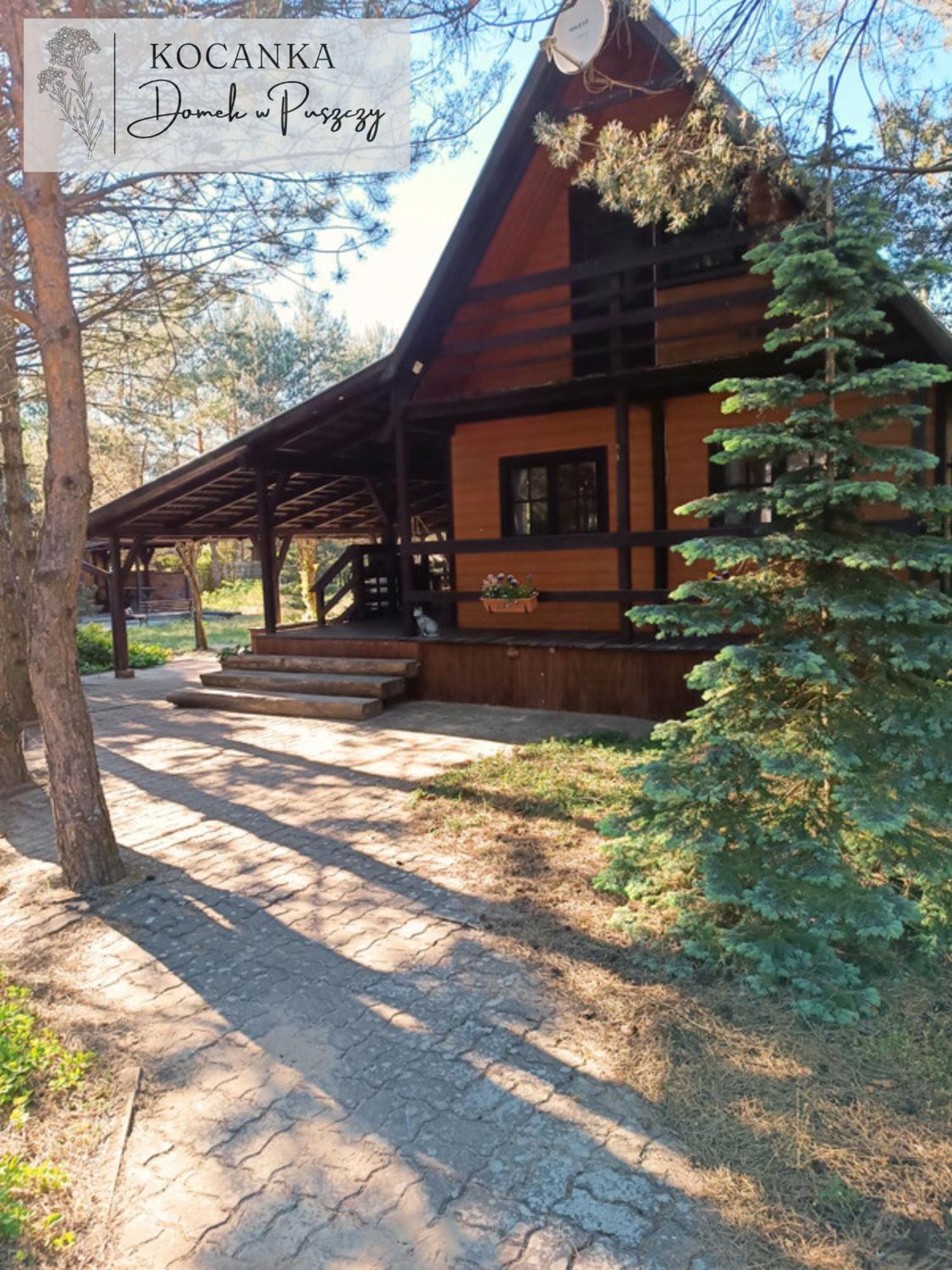 Domek W Puszczy ,,Kocanka" Mezyk Kültér fotó