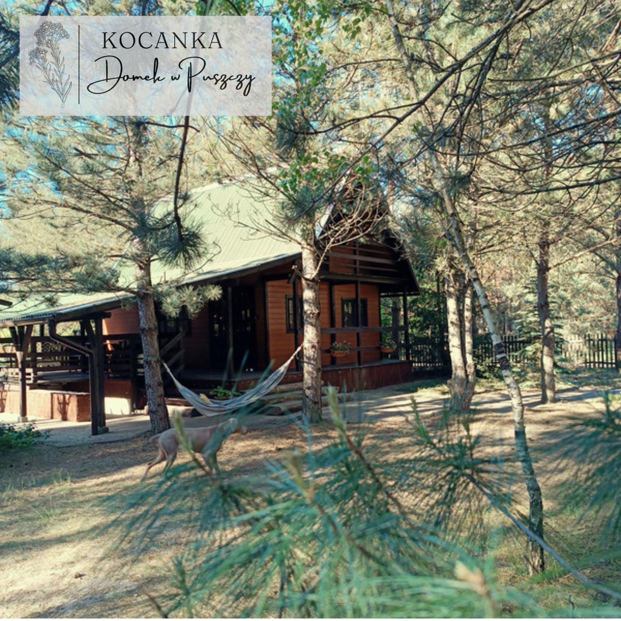 Domek W Puszczy ,,Kocanka" Mezyk Kültér fotó